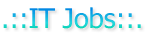 .::IT Jobs::.